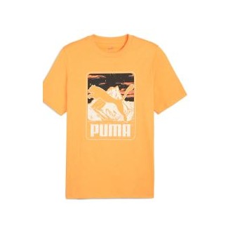 CAMISETAS PUMA 627911 46 